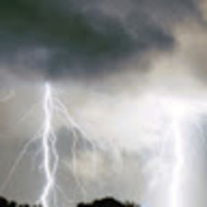 Meet your Posher, Brett